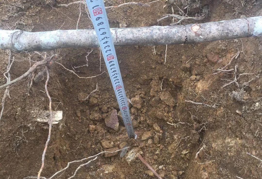 防疫不松懈,生產(chǎn)不耽誤 防疫不松懈,生產(chǎn)不耽誤